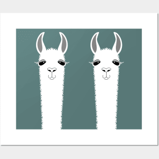 LLAMA TWINS Posters and Art